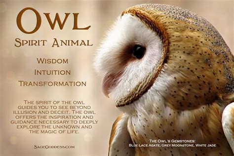 Owl Energy and Aura Reading: Uncovering Hidden Truths